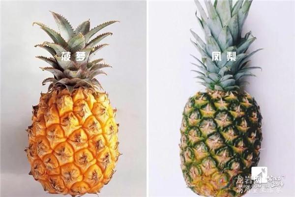 菠萝不是凤梨?这样吃才能防过敏