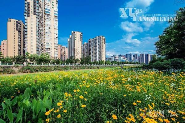 龙岩市区人口有多少_龙岩市区地图