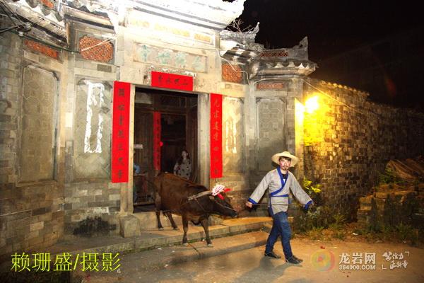 福建省连城县庙前芷溪举办犁春牛民俗喜迎新春_龙岩网