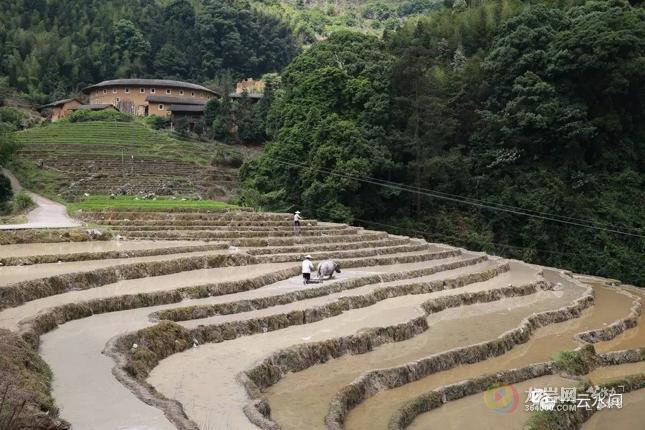 永定人口有多少人口_永定土楼(2)