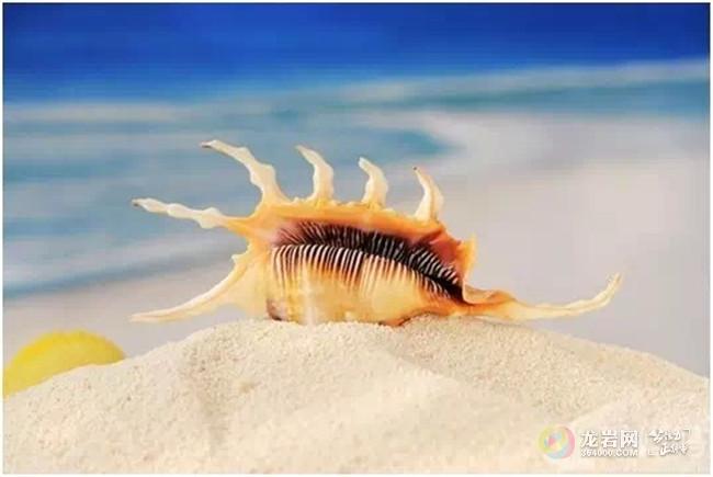 【纯自由行】美哭了!5月-6月天天出发,赠送一晚