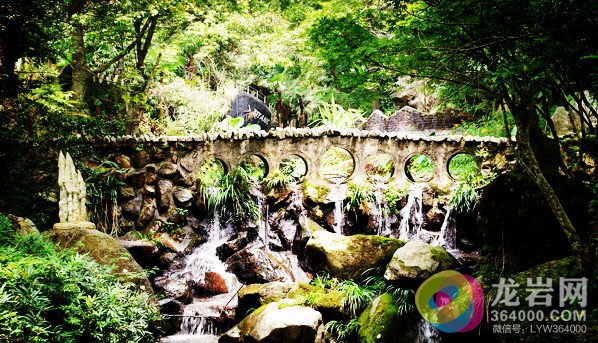 东肖森林公园:周末旅游好去处