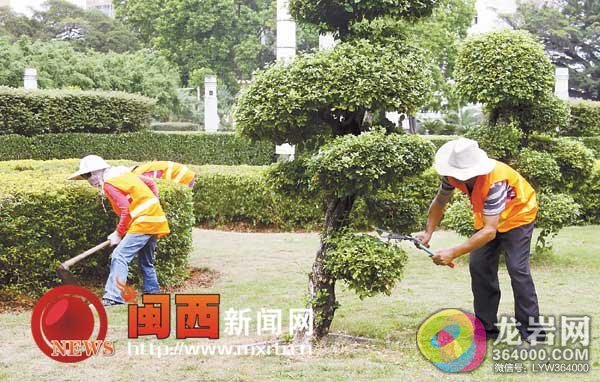 莫斯科人均绿地面积_人均绿化养护面积(2)