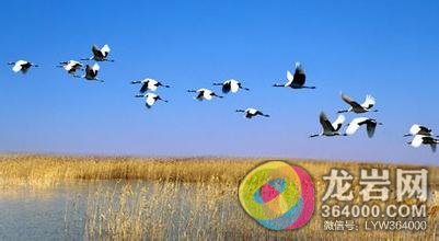 龙岩外来人口_这个国家领土比中国还大,人口却很少,相当于一个福建省人口(2)