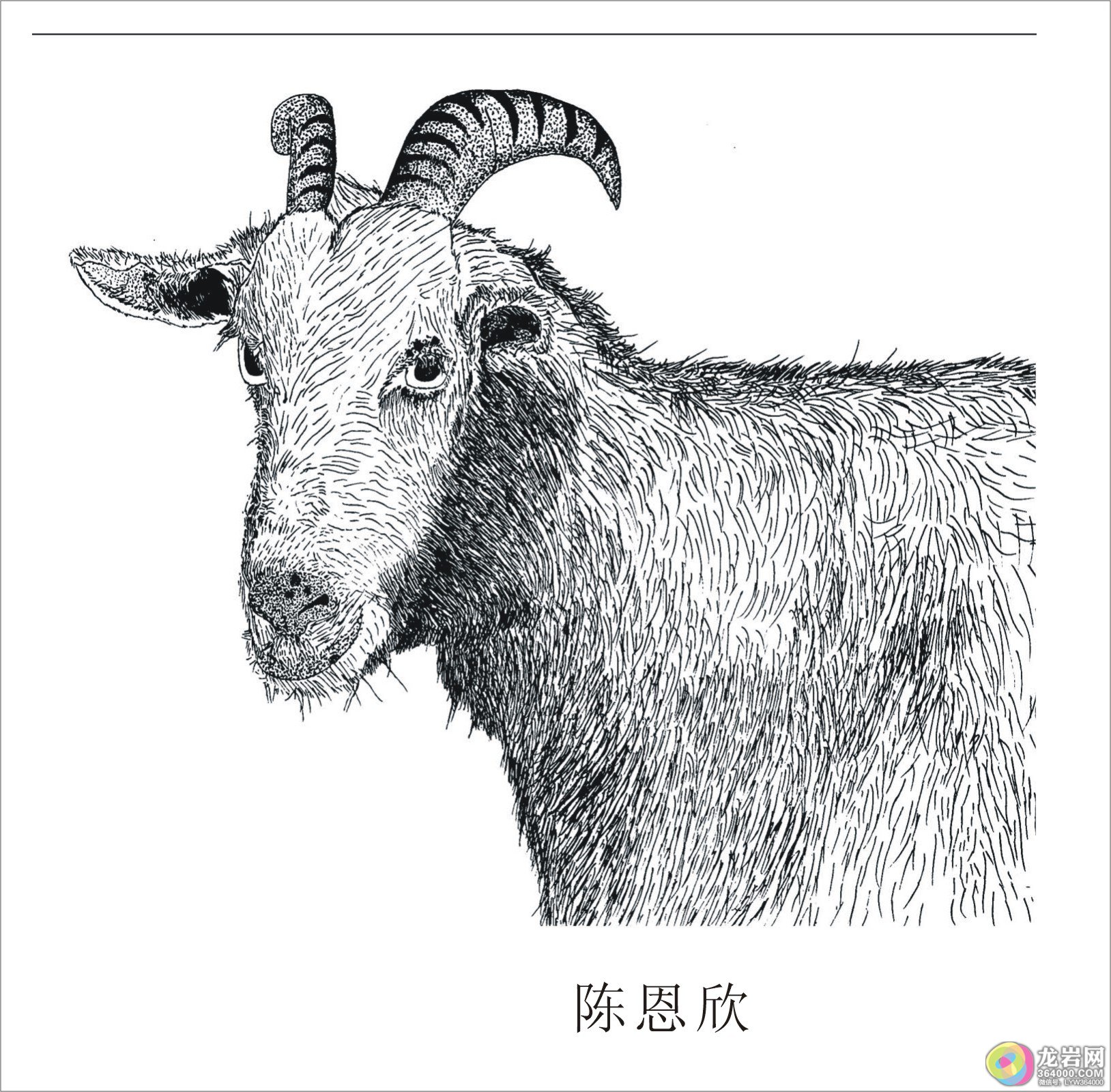 发现不一样的春天,龙岩优秀少儿绘画作文作品