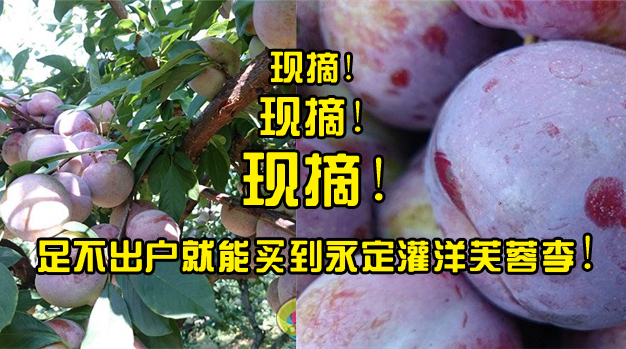 网 龙岩门户网站 龙岩新闻 龙岩房产 龙岩人才