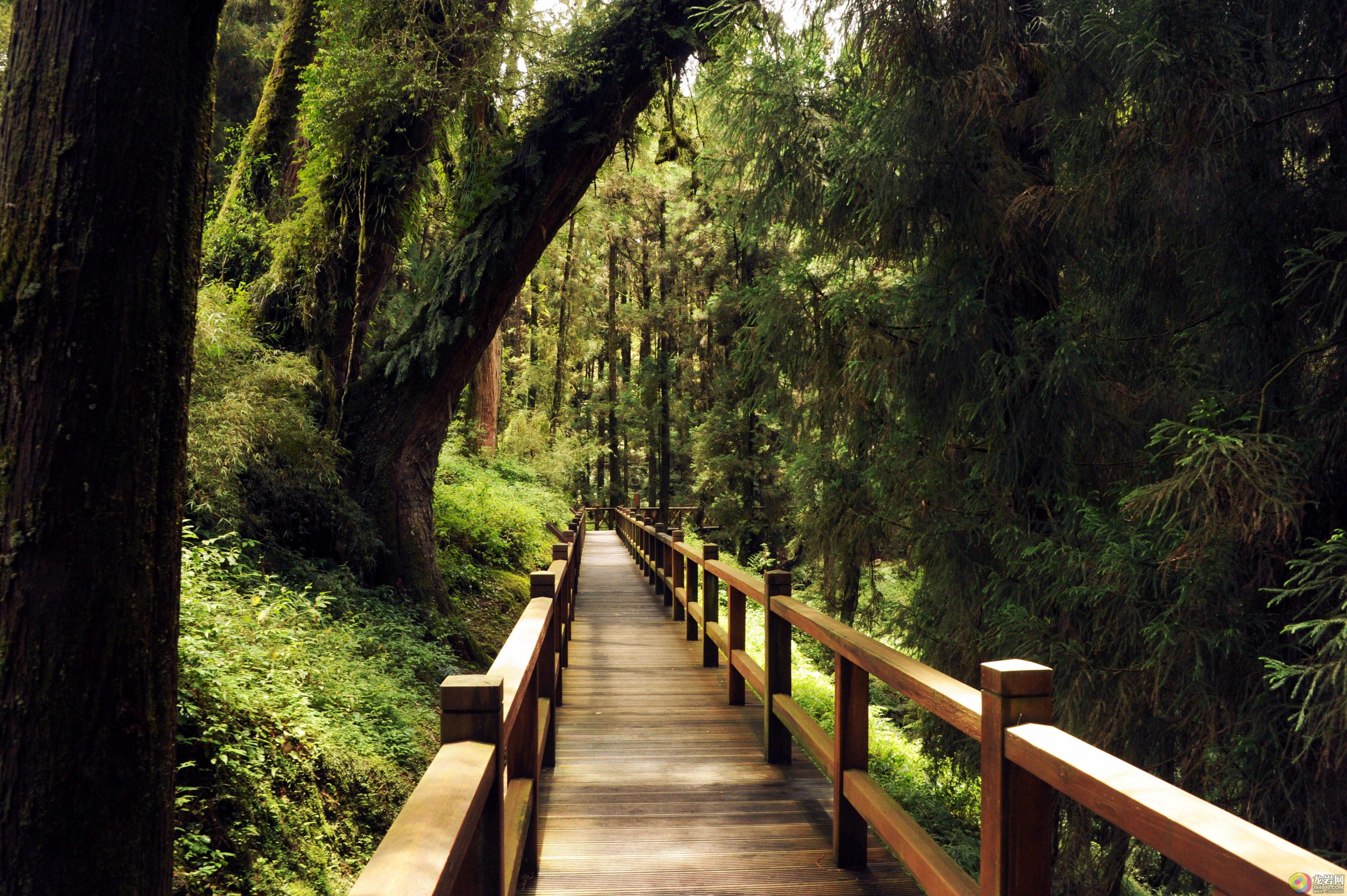 11月13日(G签)金门台湾6日游3580元 火热收客